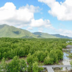 Mengenal Indahnya Pesona Alam yang Disimpan Taman Nasional Karimunjawa