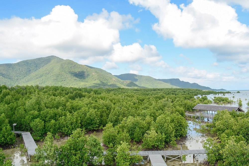 Mengenal Indahnya Pesona Alam yang Disimpan Taman Nasional Karimunjawa