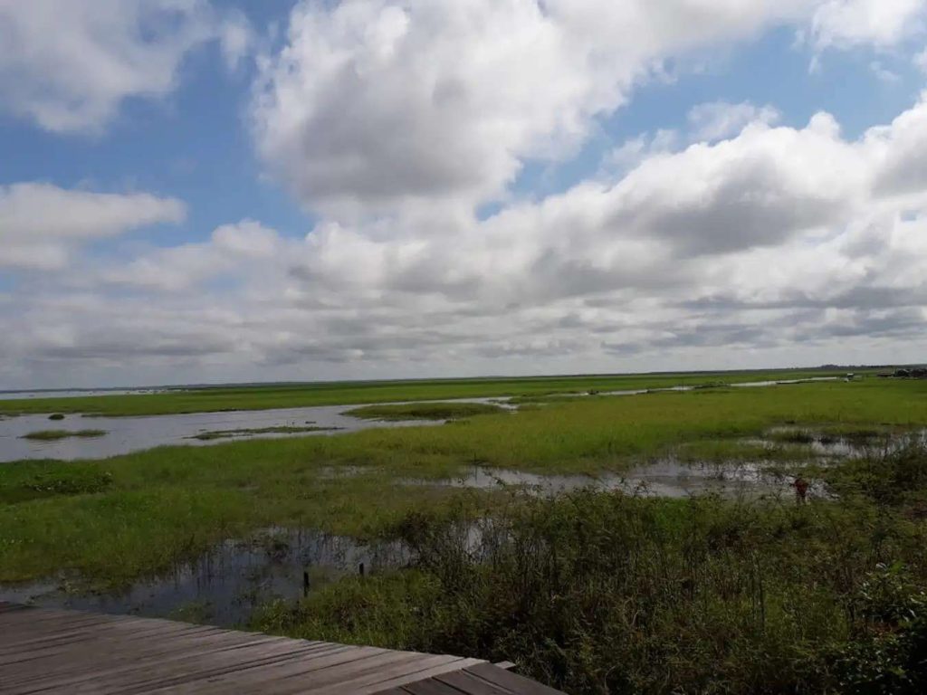 Pesona Air Tenang, Danau Jempang Kalimantan Timur Indah