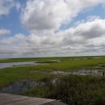 Pesona Air Tenang, Danau Jempang Kalimantan Timur Indah