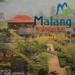 Rekomendasi Desa Wisata Menarik di Indonesia