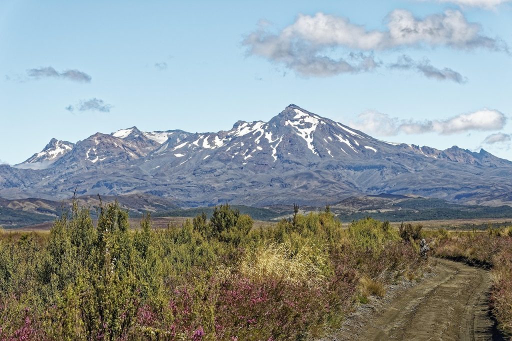 Taman Nasional Tongariro – Surga Alam Selandia Baru untuk Pecinta Alam dan Fotografi