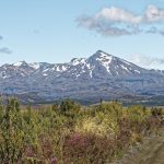 Taman Nasional Tongariro – Surga Alam Selandia Baru untuk Pecinta Alam dan Fotografi