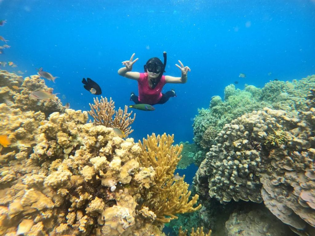 Keindahan Taman Laut Menjangan Bali dalam Fotografi Bawah Laut untuk Traveler Profesional