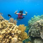 Keindahan Taman Laut Menjangan Bali dalam Fotografi Bawah Laut untuk Traveler Profesional