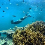 List Taman Laut yang Jarang Dikunjungi namun Memiliki Keindahan Luar Biasa