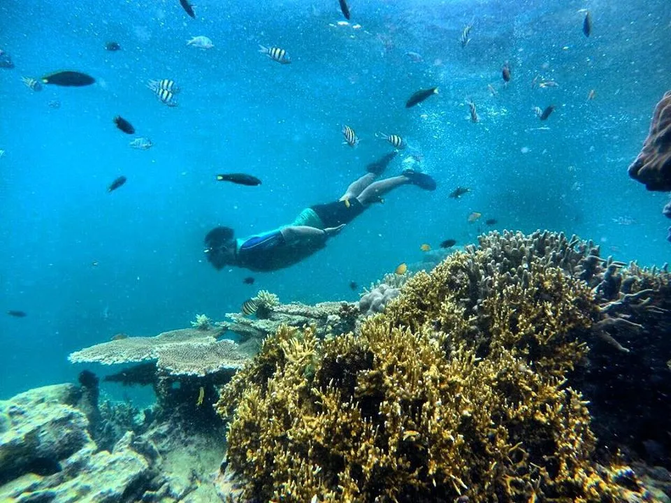 List Taman Laut yang Jarang Dikunjungi namun Memiliki Keindahan Luar Biasa