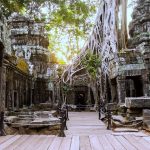 Wisata Candi Ta Prohm Kamboja, Keindahan Reruntuhan yang Dibalut Akar Pohon Raksasa