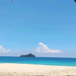 Pantai Sendiki Malang Destinasi Pantai Alami dengan Pasir Putih dan Ombak Tenang