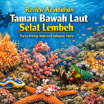 Review Keindahan Taman Bawah Laut Selat Lembeh, Surga Diving Makro di Sulawesi Utara