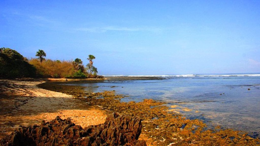 Keindahan Ombak Pantai G-Land Banyuwangi untuk Peselancar Profesional dan Pemula