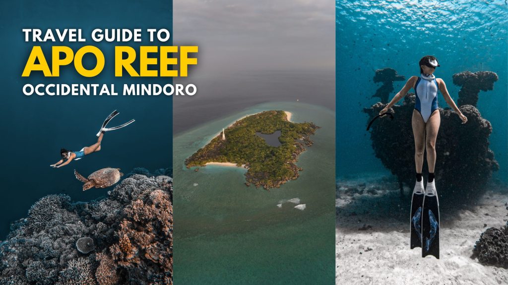Apo Reef Natural Park – Taman Laut Luar Negeri yang Indah dan Memukau