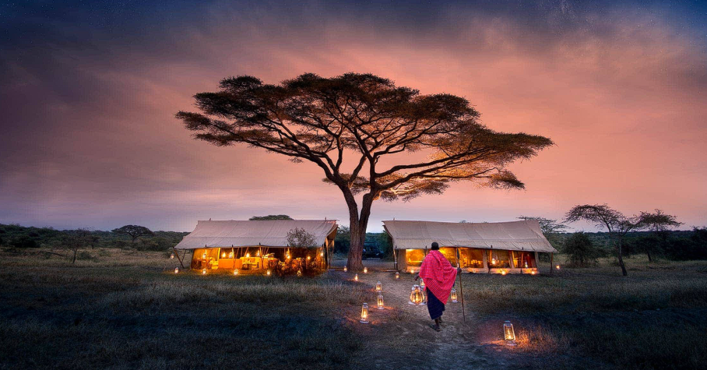 Musim Great Migration di Serengeti National Park Tanzania dan Lokasi Terbaik Melihatnya