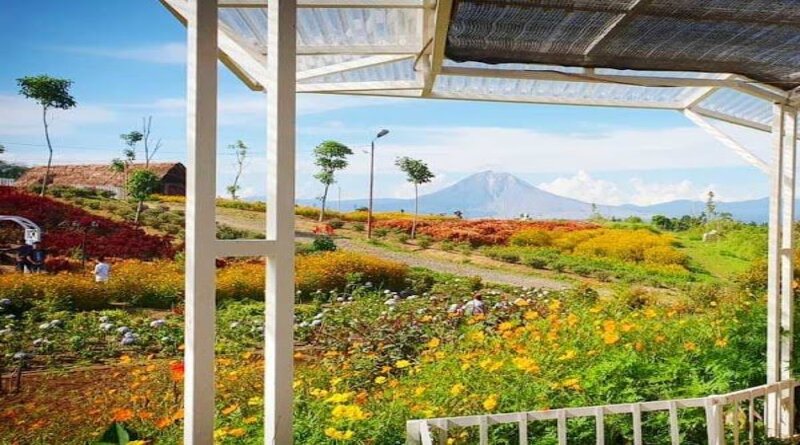 Menikmati Keindahan Alam di Agrowisata Kebun Madu Edi Puncak 2000 Dengan Pemandangan Tiada Tara