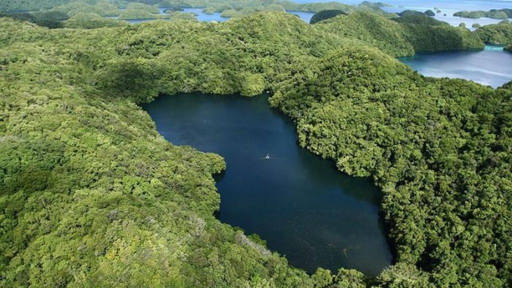 Benarkah Danau Lanier Berhantu? Ini Fakta 700 Nyawa Hilang Sejak Dibangun 1956