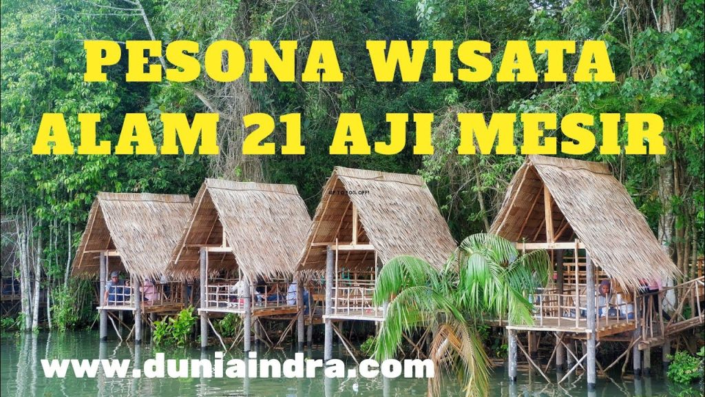 Desa Wisata Kampung Aji Mesir Lampung: Destinasi Wisata Alam Berbasis Komunitas yang Viral