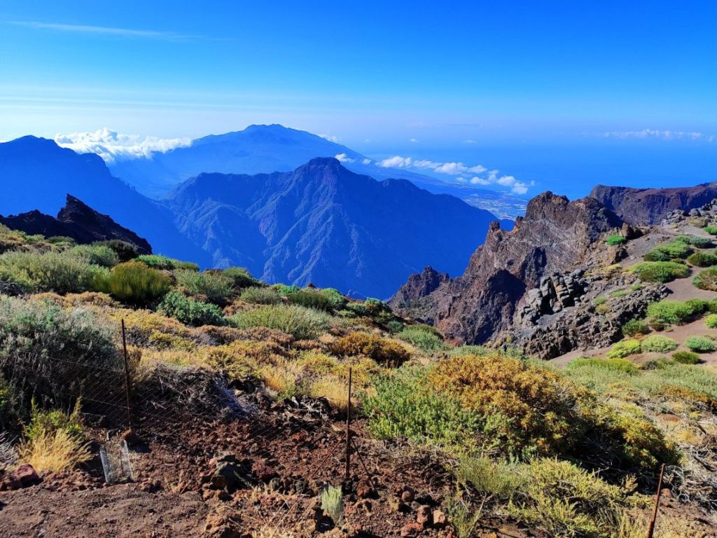 Taman Nasional Doñana Destinasi Wisata Alam dan Ekowisata Terbaik di Spanyol